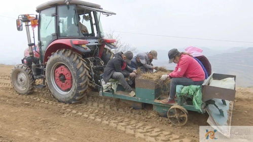华池 农业机械化助力乡村产业振兴